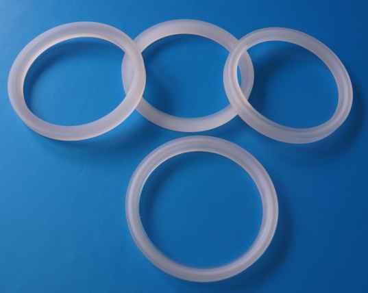 PCTFE rings | Polytech Plastics